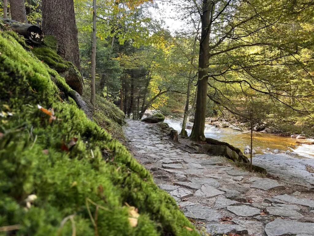 Ile czasu zajmuje szlak waloński? Sprawdź, zanim wyruszysz na szlak Ile czasu zajmuje szlak waloński? Sprawdź, zanim wyruszysz na szlak
