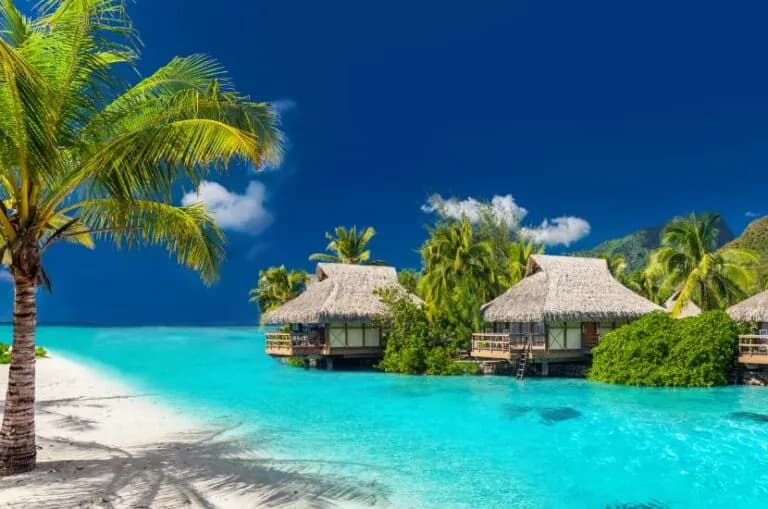 Gdzie polecieć w grudniu? Najlepsze destynacje na zimowe i ciepłe wakacje