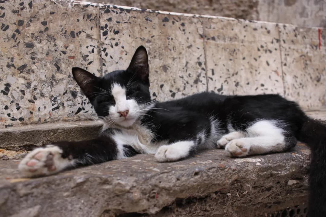 Algieria czy jest bezpiecznie? Odkryj zagrożenia i porady dla turystów