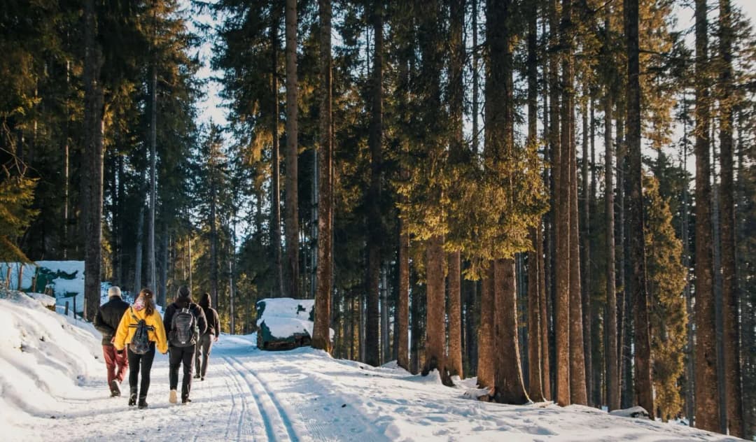 Którym szlakiem zejść ze Szrenicy? Odkryj najlepsze trasy i ich wady